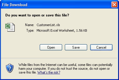 File Download Prompt